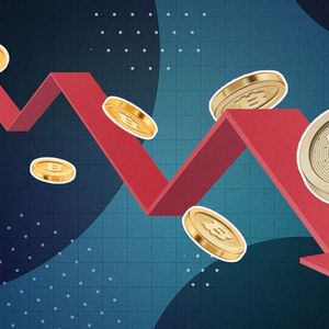 Top Reasons Why The Crypto Market Is FallingToday