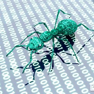 Ant Group Will Release A Web3 Open Alliance Chain Compatible with Ethereum