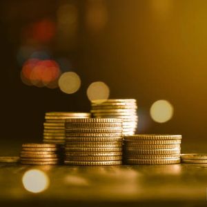 The Head of the Hong Kong SFC Fintech Group Said There Would be Opportunities for RWA to Open Up to Retail Investors