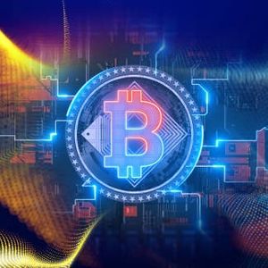 Bitcoin Whale Address Holdings Decreased by 148,000 BTC in July