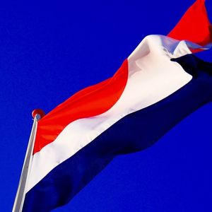 Dutch regulator vows no leniency for crypto under MiCA