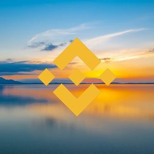 Binance Coin price analysis: BNB under strong correction in the $320 range