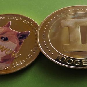 Dogecoin whale alert: Robinhood holds 24% of circulating supply