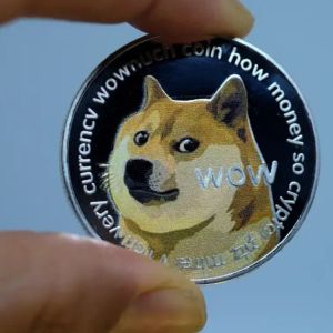 Dogecoin price analysis: DOGE rallies by over 1.23% after a successive bull run