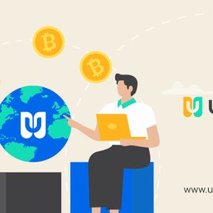 Uwerx (WERX) May Become The Most Anticipated Token Of The Next Bull Market, Alongside Polygon (MATIC) And Ripple (XRP)
