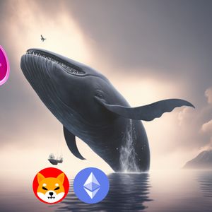 Shiba Inu (SHIB) and RenQ Finance (RENQ) see huge whale accumulation, prices about to skyrocket?