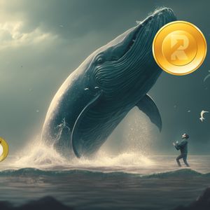 Memecoin vs Defi, Dogecoin (DOGE) vs RenQ Finance (RENQ), where are whales tilting and why?