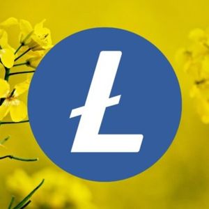 Litecoin price analysis: LTC recovers to $89.24 as bulls take control