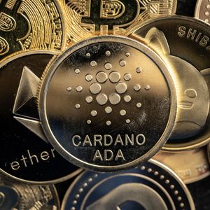 Which Crypto Asset is the Best Long-Term Investment: DigiToads (TOADS) or Cardano (ADA)?