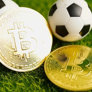 Best Crypto Sports Betting Sites: New Bitcoin Sportsbook Compared By Bonus