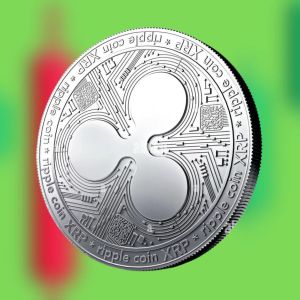 Ripple’s XRP ownership shifts as whales regain 68% of supply