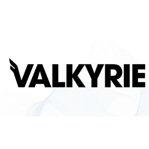 Valkyrie CIO sees spot Bitcoin ETF nod by Month-end
