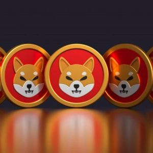 Shiba Inu price outlook: What’s the target for 2024?