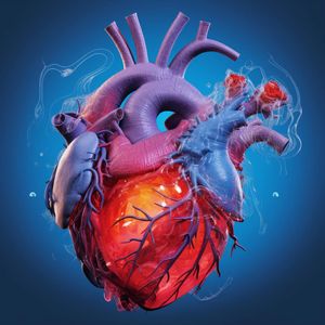 AI Tools Show Promise in Detecting Heart Valvular Disease