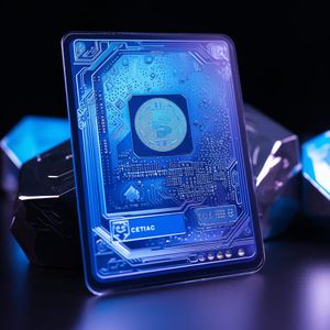 Navigating NFT Categories to Unlock Their Unique Potentials