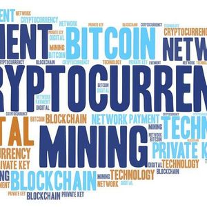 Potential for 100x Returns: Shiba Inu (SHIB), Solana (SOL), and VC Spectra (SPCT)Trio