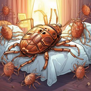 South Korean engineer combats bedbug crisis with blockchain technology—here’s how