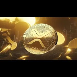 Ripple revolutionizes cross-border transactions in the IT sector