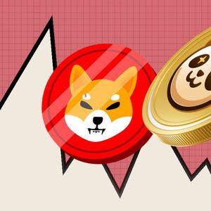 Pandoshi (PAMBO) Will Take Over Shiba Inu (SHIB) in the Top 20 Tokens in the Market
