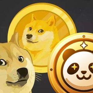 Best New Crypto to Buy Instead of Dogecoin (DOGE) for Exponential Growth in 2024