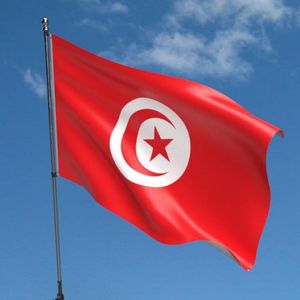 Tunisia Navigates Debt Challenges Amidst African Strain
