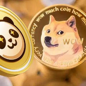 3 Reasons Why Pandoshi (PAMBO) Will Replace Dogecoin (DOGE)