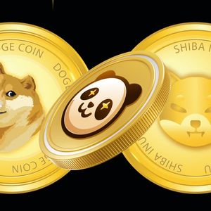 New Cryptocurrency Predicted to Exceed Performance of Shiba Inu (SHIB) and Dogecoin (DOGE) in 2024