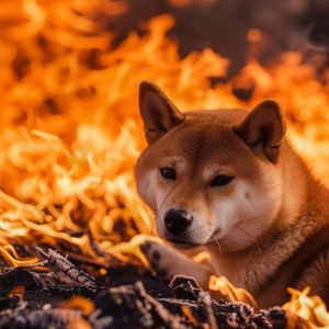 Shiba Inu’s impressive January token burn – over 9.9 billion SHIB tokens destroyed