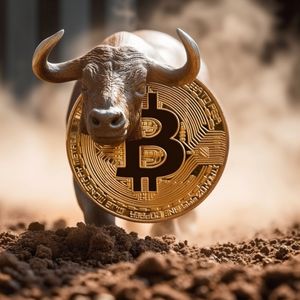Bitcoin remains range-bound: A characteristic behavior in the bull market