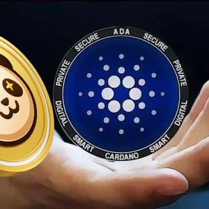 Emerging Competitor to Cardano (ADA) at Just $0.01 Set for 50x Increase in 2024