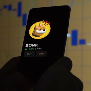 Bonk (BONK) and Pepe (PEPE) Face Losses as Meme Coin Market Shifts to New Players