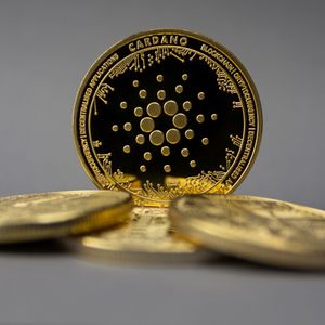 NuggetRush Presale Excites Investors as Cardano (ADA) and Polygon (MATIC) Show Mixed Signals