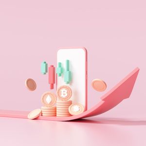 Diversifying Crypto Portfolio: Assessing the Growth Potential of Borroe Finance, Bitcoin, and Chainlink