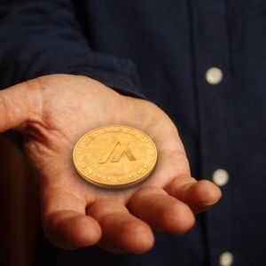 The Top Crypto Contenders of Early 2024: Borroe Finance vs. Algorand vs. Polkadot – An In-depth Analysis