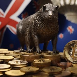 New Zealand  bank governor Adrian Orr slams stable coins as ‘Oxymorons