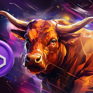 Bullish Indicator That Preceded Polygon’s 21000% Surge in 2021 Appears in This Token With Similar Potential in 2024
