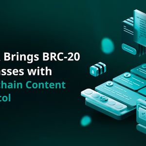 YOUR Multichain Content Protocol Bringing BRC-20 Use Mainstream