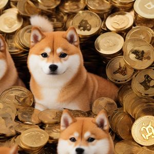 Robinhood vaults into top contender with $50 Million SHIB acquisition