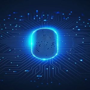 Pioneering AI Strategies to Combat Identity Theft