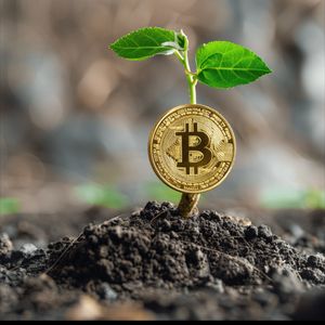 Bitcoin’s potential market cap growth could double the price
