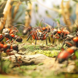 Empire of the Ants: A Photorealistic Real-Time Strategy Game Set to Dominate Consoles and PC in 2024
