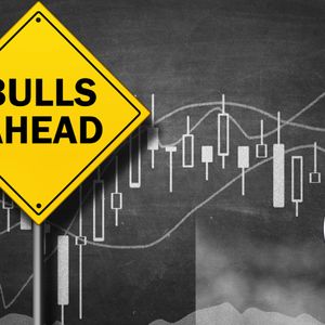 Profitability Of The Graph (GRT) Soars As Near Protocol (NEAR) Expands; Algotech (ALGT) Presale Sees Buying Frenzy