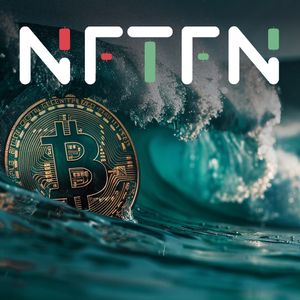 Live Now: NFTFN Presale Offers the Chance to Be Part of Crypto’s Next Big Wave