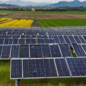 Chinese Scientists Develop AI Tool for Optimal Placement of Double-Faced Solar Panels