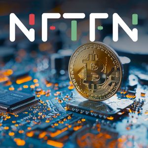 Experts Predict Bitcoin Halving and NFTFN Launch Can Happen on the Same Day
