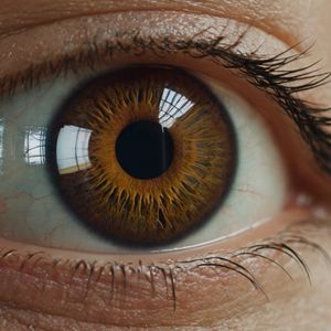 Worldcoin Unveils Open-Sourced Software for Orb’s Eye Scanner