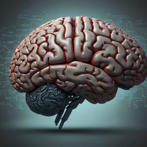 AI Holds Potential for Detecting Brain Damage Following Stroke