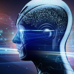 Crypto Trading Bots: Different Horses For Different Courses