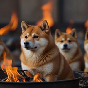 Over half a billion Shiba Inu tokens burned to combat market downturn