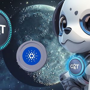 Top Analyst Explains Why This Crypto Has 2000% Gains Potential Above Cardano (ADA)